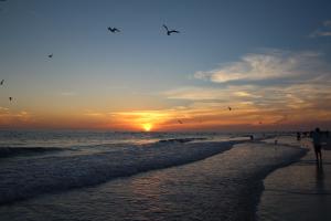 Siesta Key Sarasota Sunset