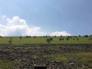 View from the Best Sites